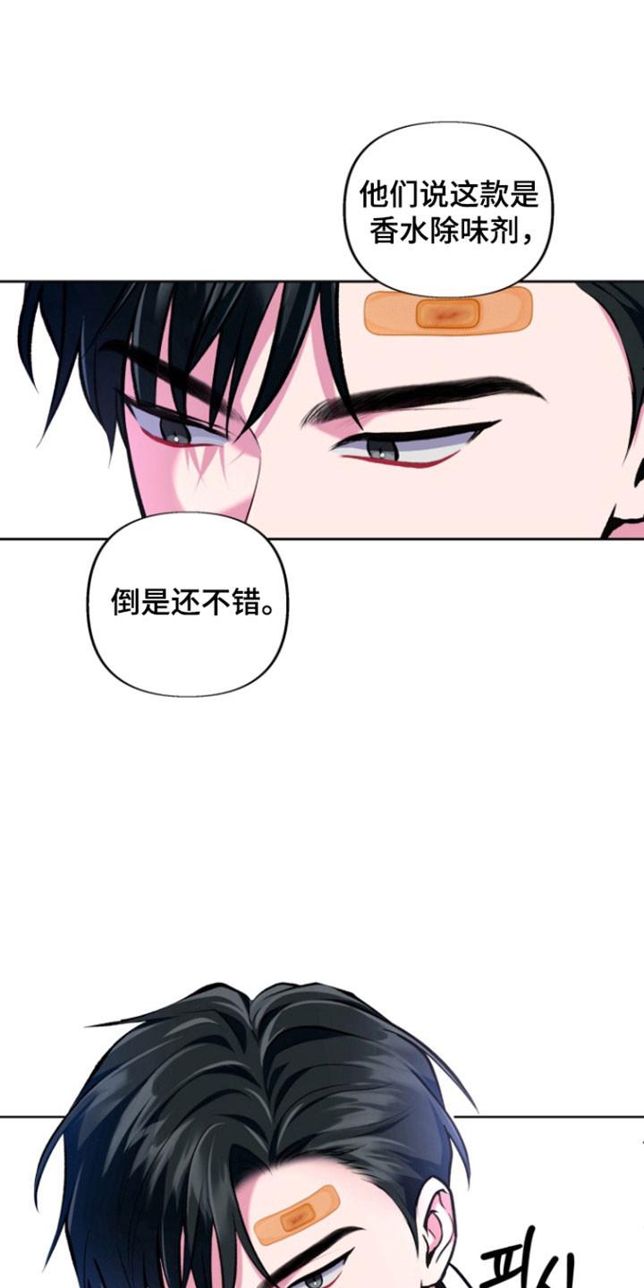 《给记忆添香》第35章：记忆消失 第8页