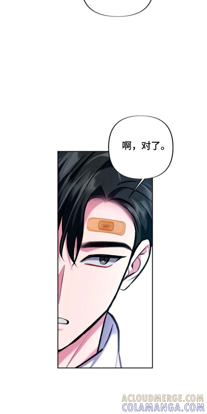 《给记忆添香》第35章：记忆消失 第3页