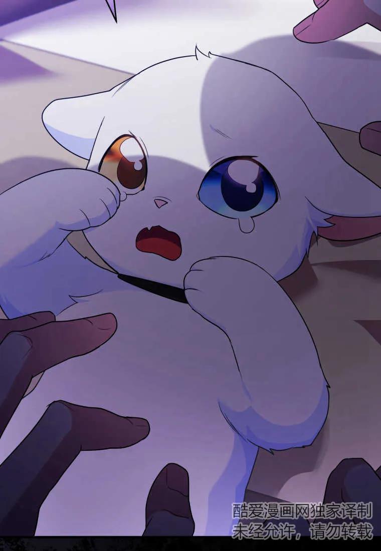 成为苏尔坦珍爱的猫咪 第23话 第103页