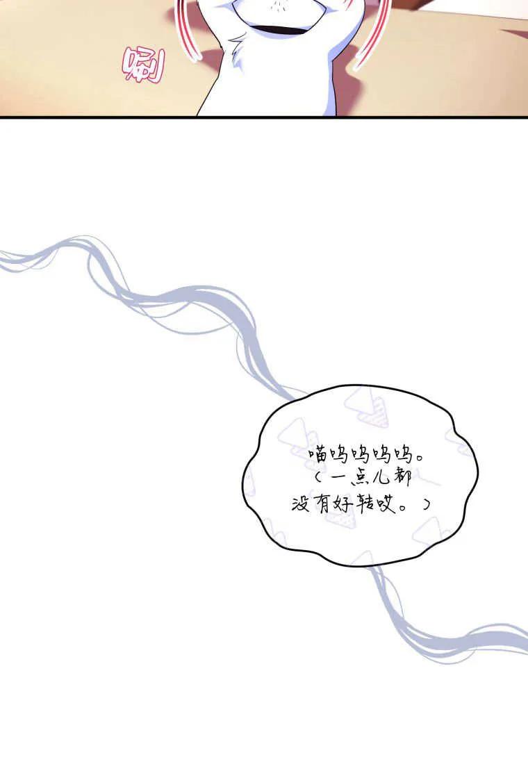 成为苏尔坦珍爱的猫咪 第23话 第100页