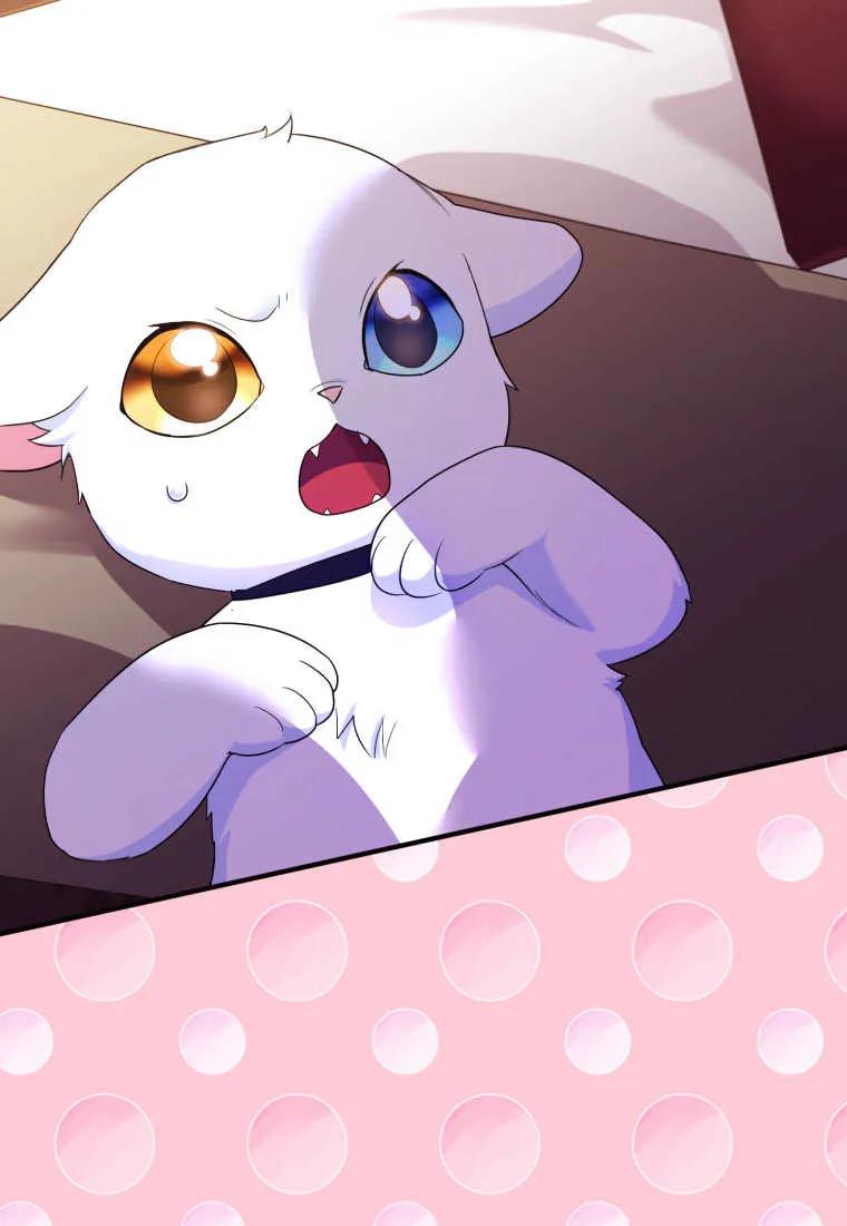 成为苏尔坦珍爱的猫咪 第24话 第3页