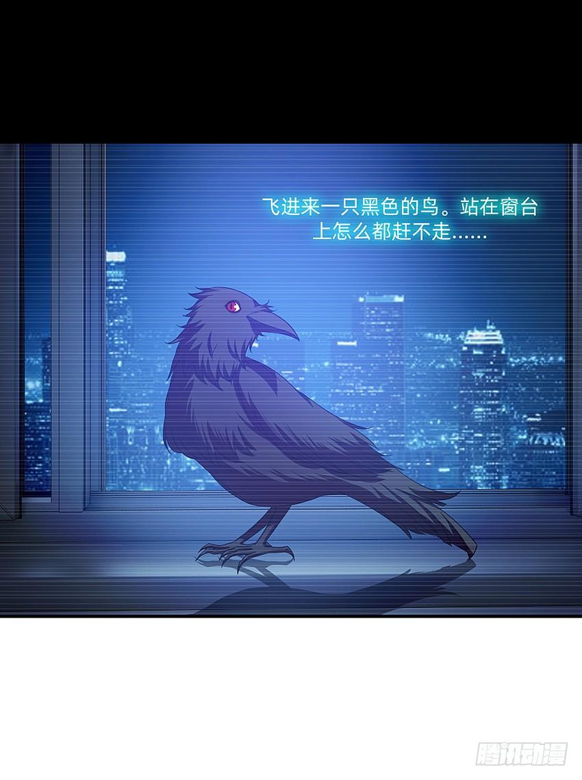 《我老婆是鬼王》神秘的黑鸟 第11页