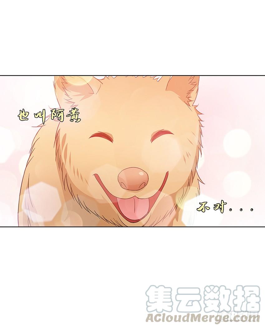 《我老婆是鬼王》神秘的黑鸟 第33页