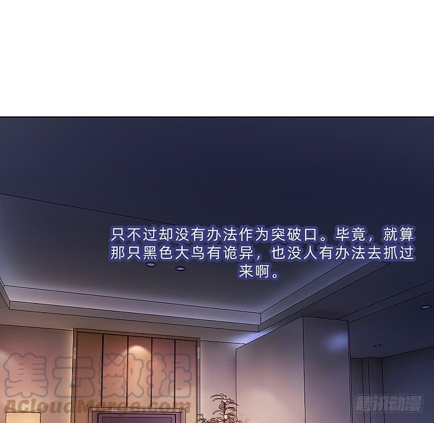 《我老婆是鬼王》神秘的黑鸟 第17页