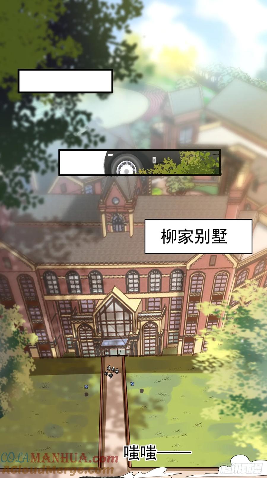 我每周一个新身份 第117话 叶枫的真实身份 第29页