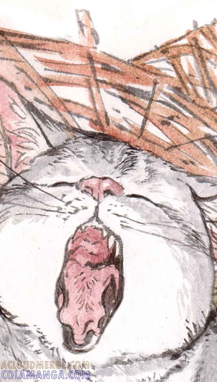 猫剑客 休刊 7 第3页