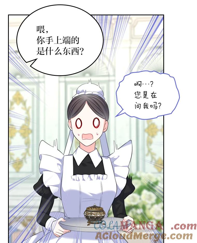 《我要和女主的妹控哥哥离婚》17.女主人之争 第67页
