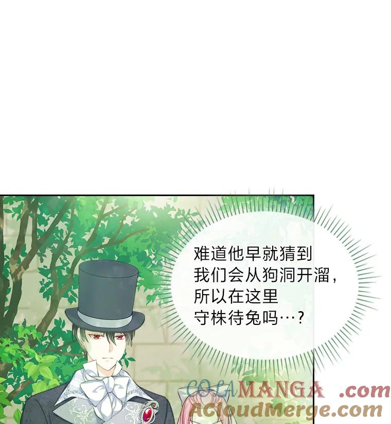 《我要和女主的妹控哥哥离婚》19.善良的总管 第19页