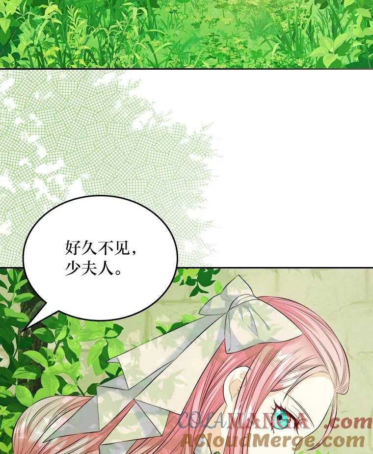 《我要和女主的妹控哥哥离婚》19.善良的总管 第13页