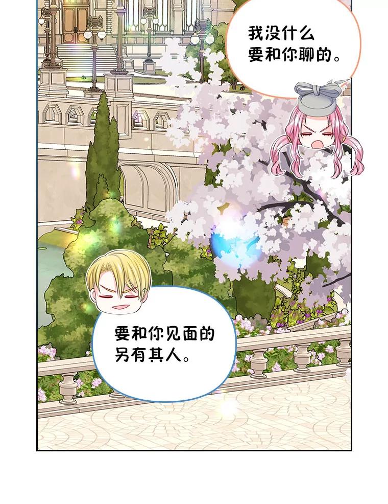 《我要和女主的妹控哥哥离婚》21.搬出岳母当救兵 第47页