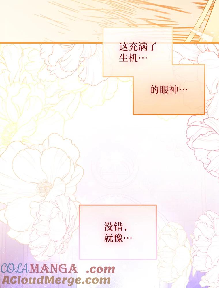 《必须先从丧尸堆里活下来的XX的情况》23.命运 第41页