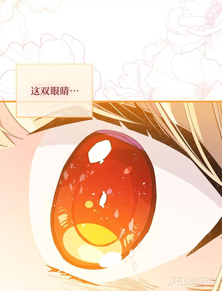 《必须先从丧尸堆里活下来的XX的情况》23.命运 第40页