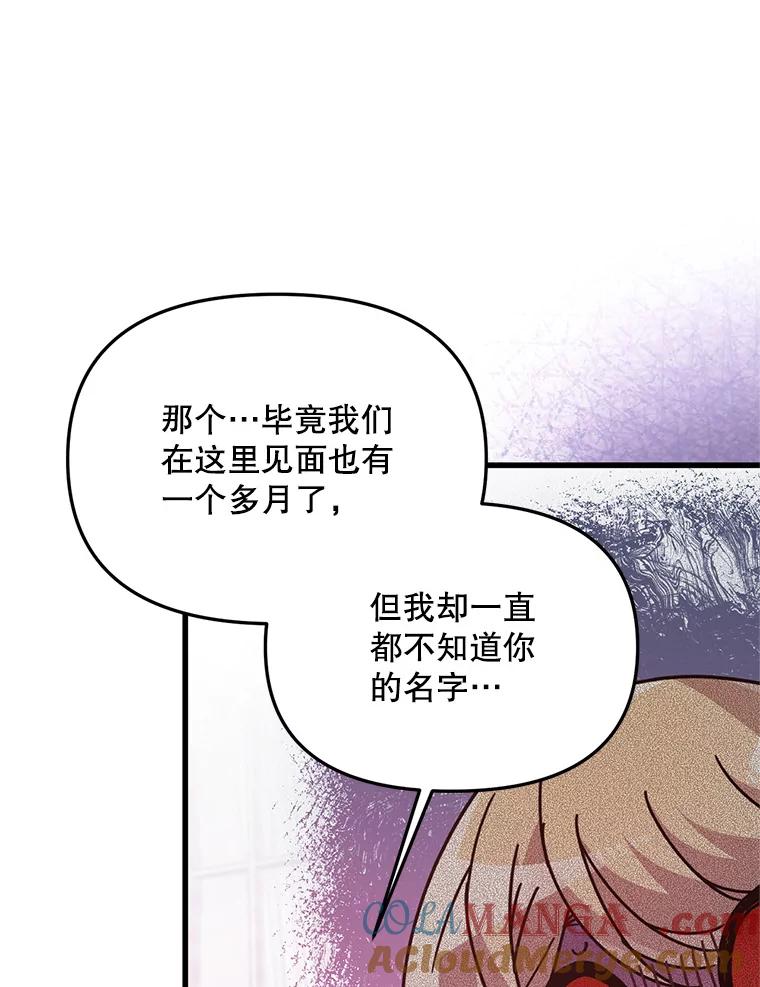 《必须先从丧尸堆里活下来的XX的情况》27.隐瞒身份 第5页