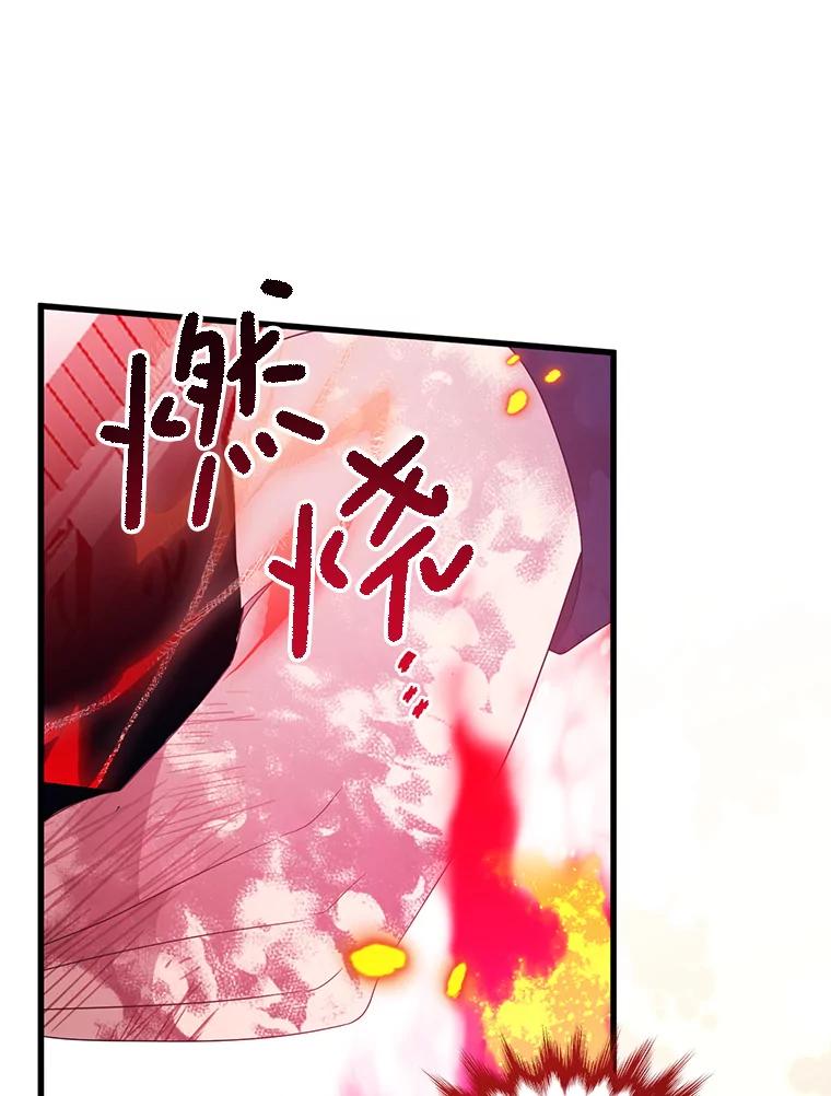 《必须先从丧尸堆里活下来的XX的情况》32.不灭的火焰 第91页