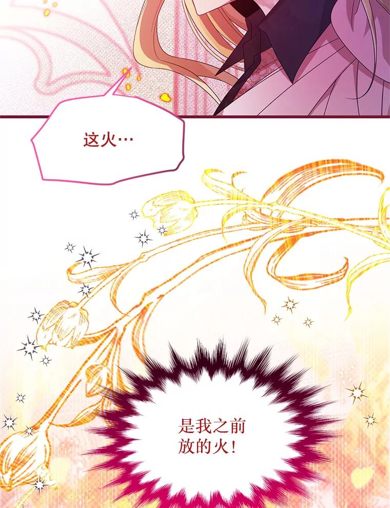 《必须先从丧尸堆里活下来的XX的情况》32.不灭的火焰 第50页