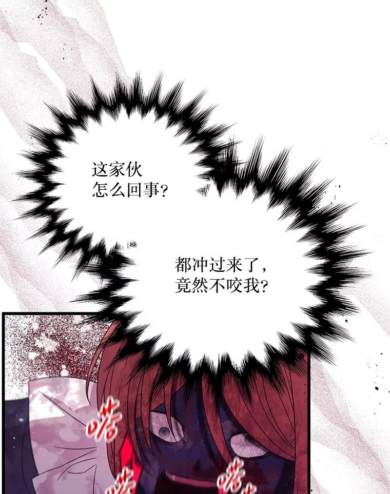 《必须先从丧尸堆里活下来的XX的情况》33.保护人类 第40页