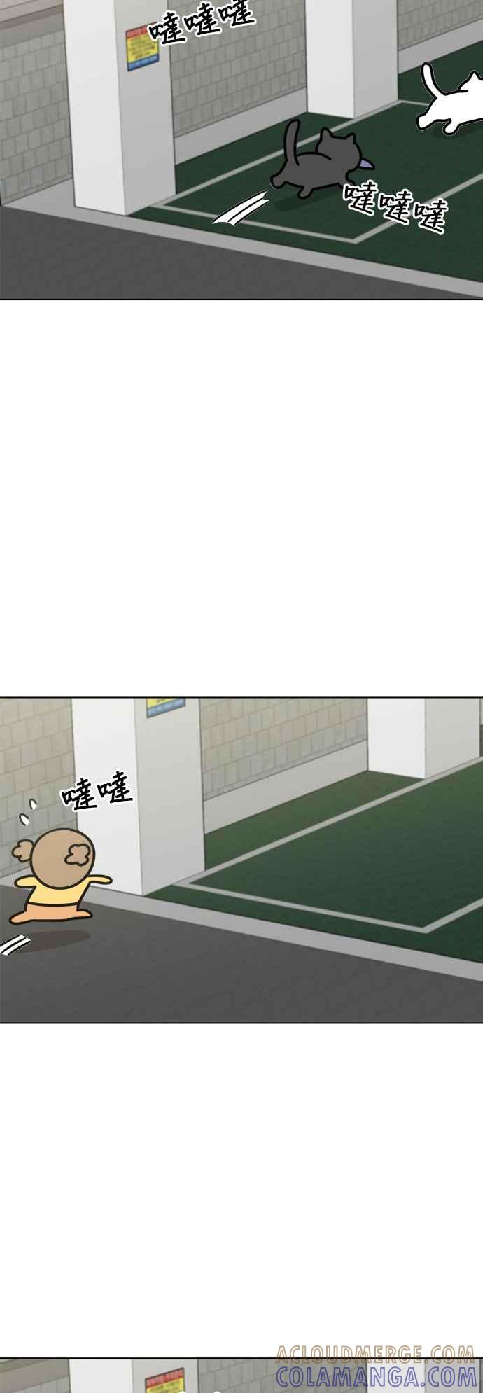 我家妹妹是狗狗 第32话 喵喵猫咪聚会 第19页