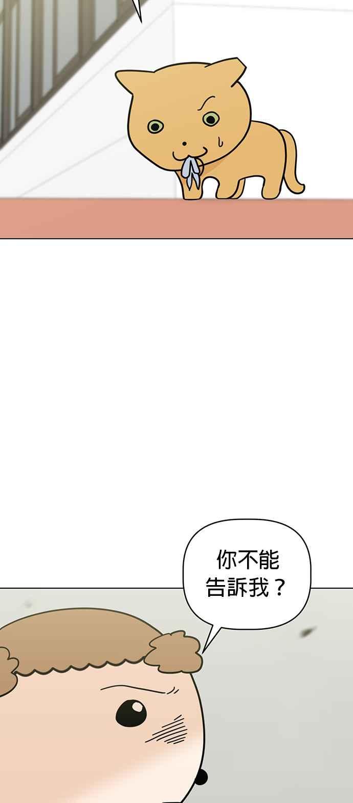 我家妹妹是狗狗 第32话 喵喵猫咪聚会 第5页