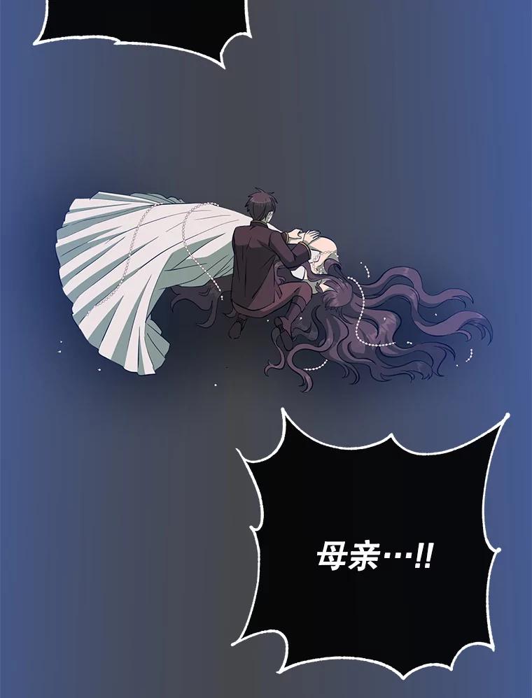 《顶级英雄归来》173.举行国葬 第70页