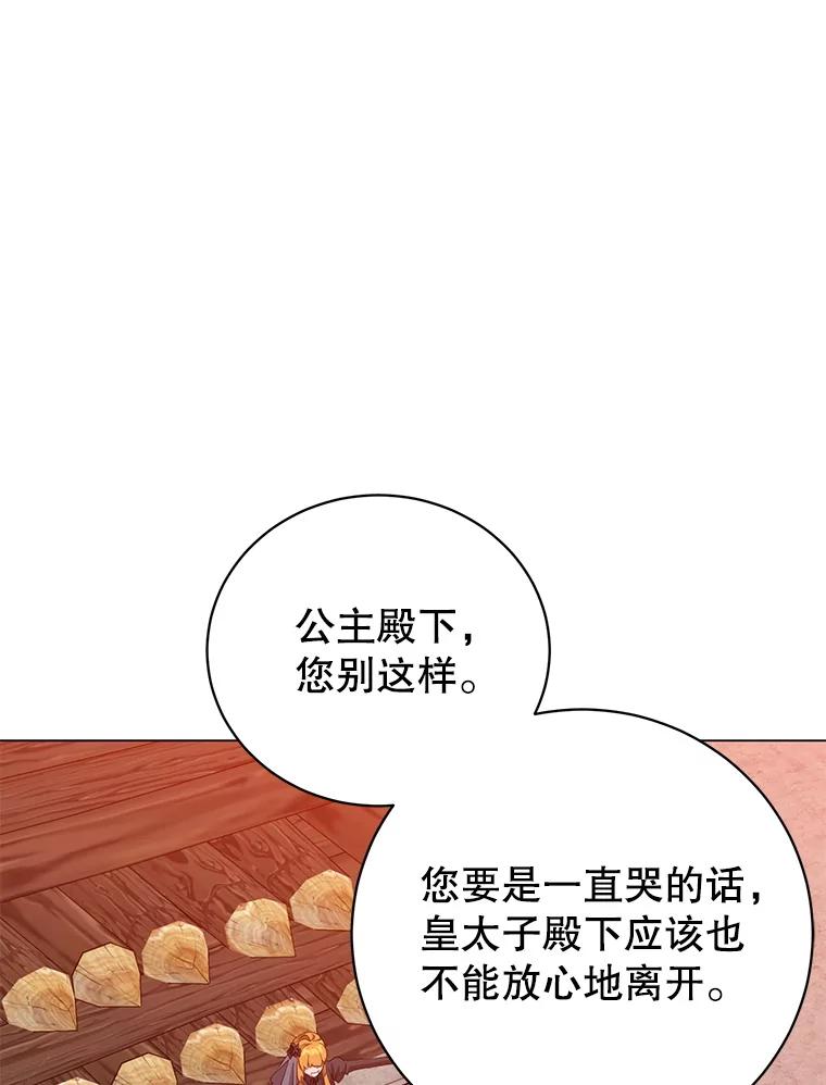 《顶级英雄归来》173.举行国葬 第74页