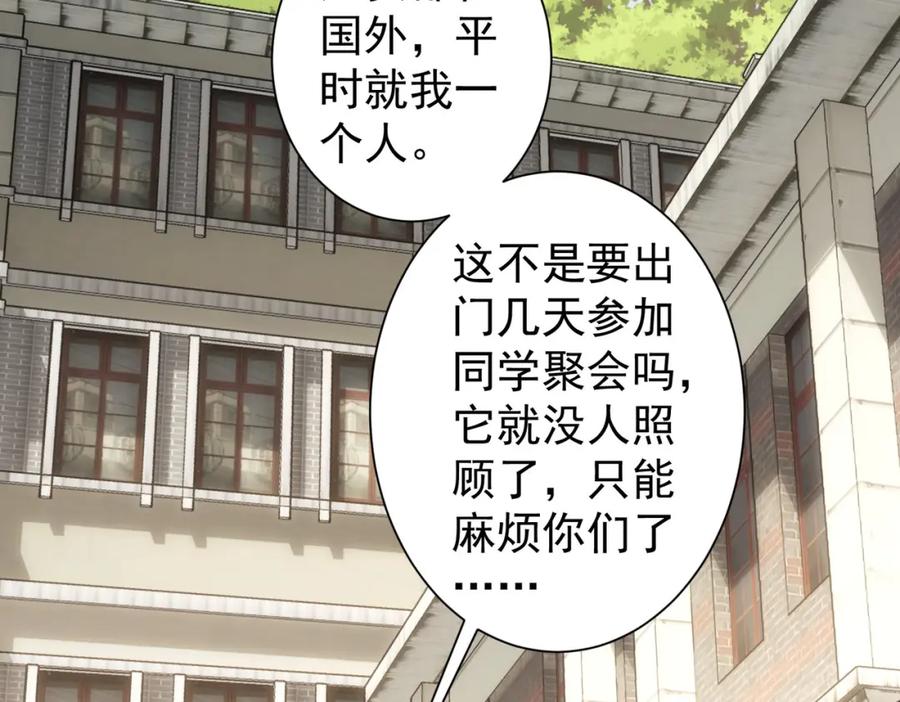 我能看到成功率 第229话 开门大吉 第91页