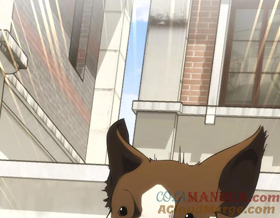 我能看到成功率 第229话 开门大吉 第101页