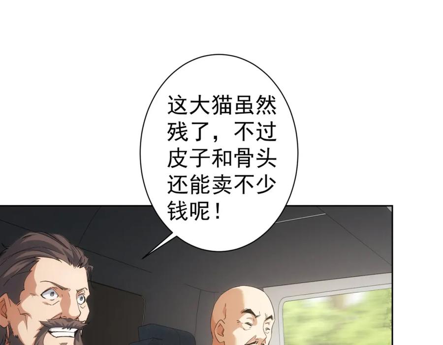 我能看到成功率 第250话 偷虎贼 第91页