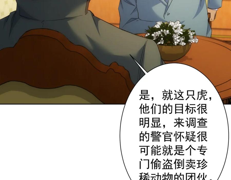我能看到成功率 第250话 偷虎贼 第43页