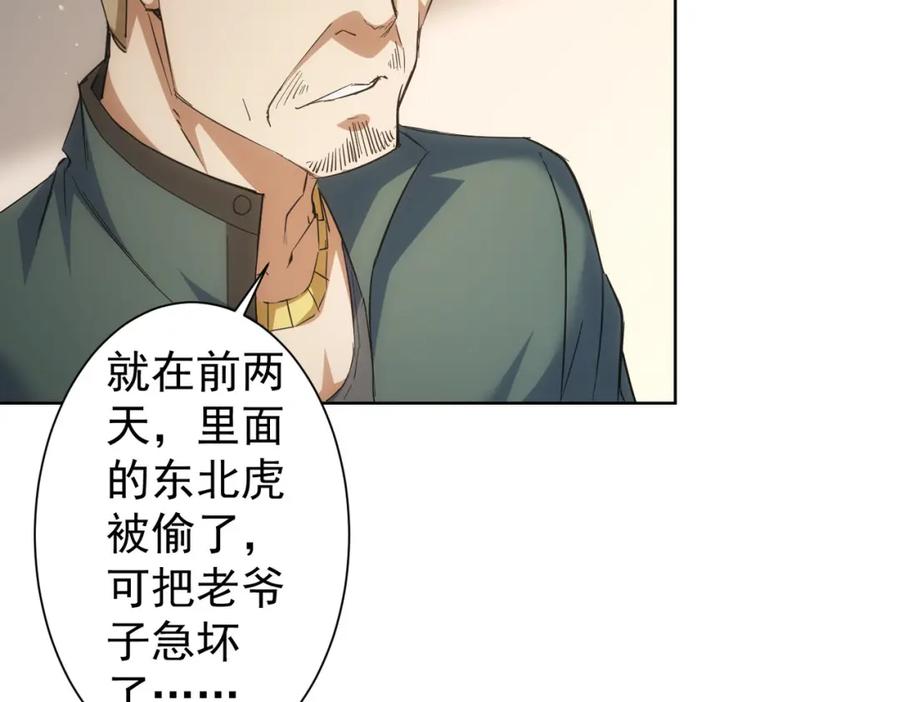 我能看到成功率 第250话 偷虎贼 第33页