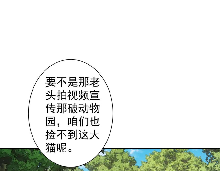 我能看到成功率 第250话 偷虎贼 第89页