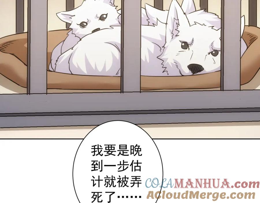 我能看到成功率 第253话 金爷爷 第92页