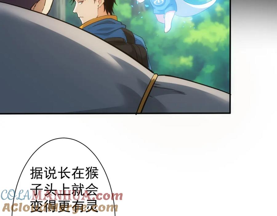 我能看到成功率 第305话 下墓 第13页