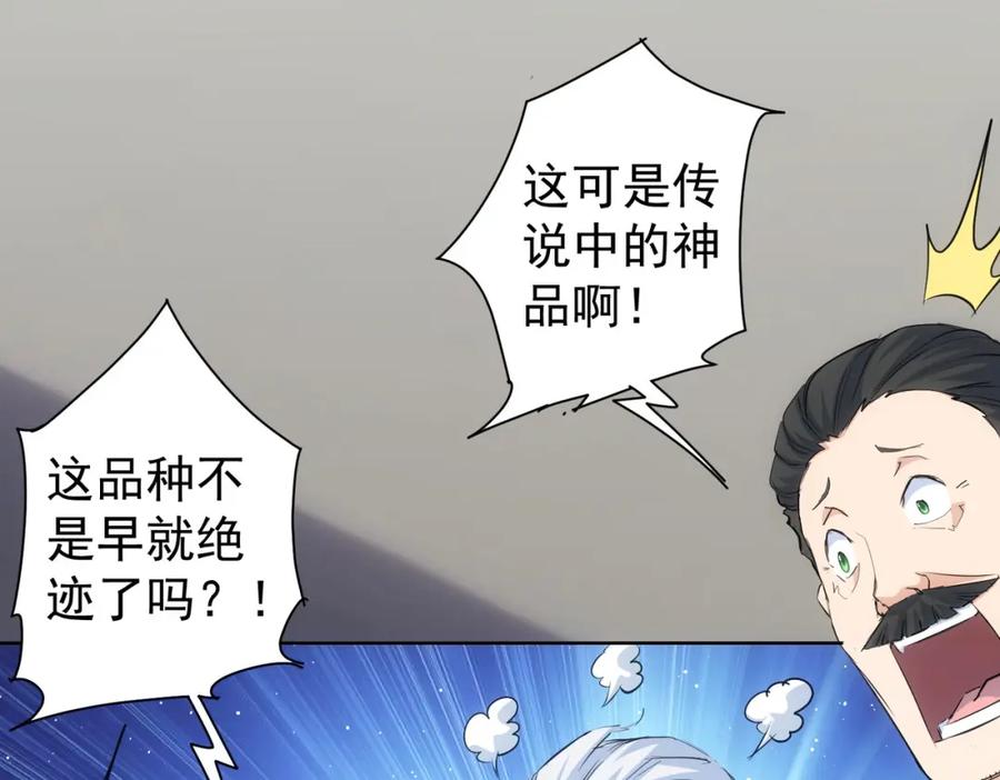 我能看到成功率 第319话 对刀 第66页