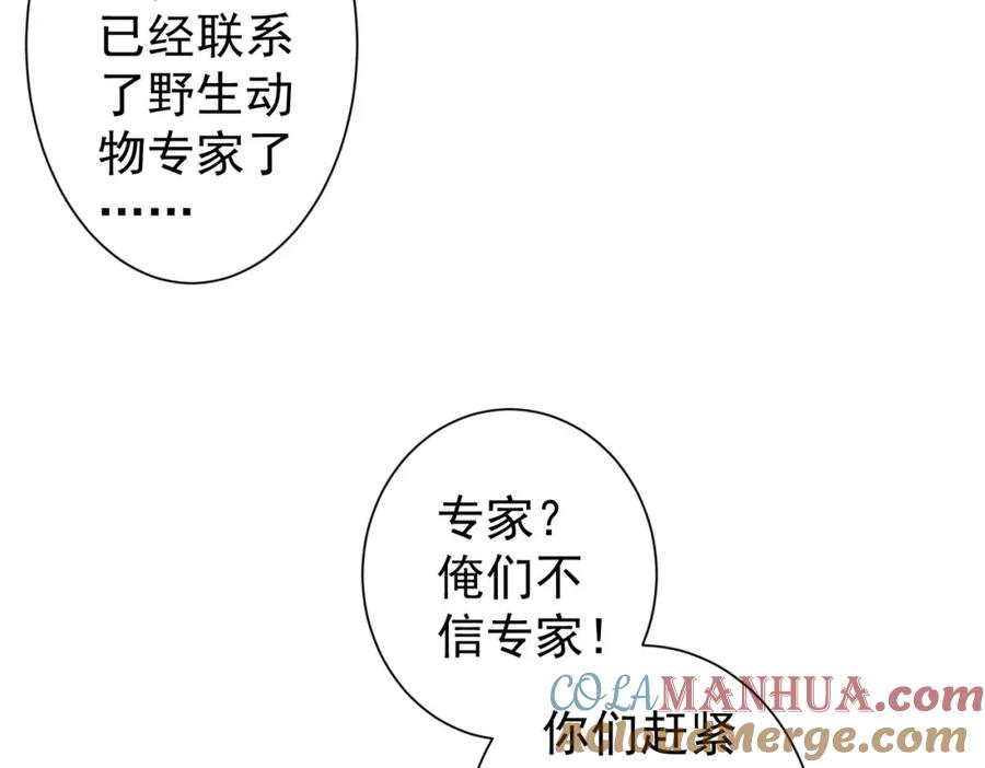 我能看到成功率 第327话 别样人生 第13页