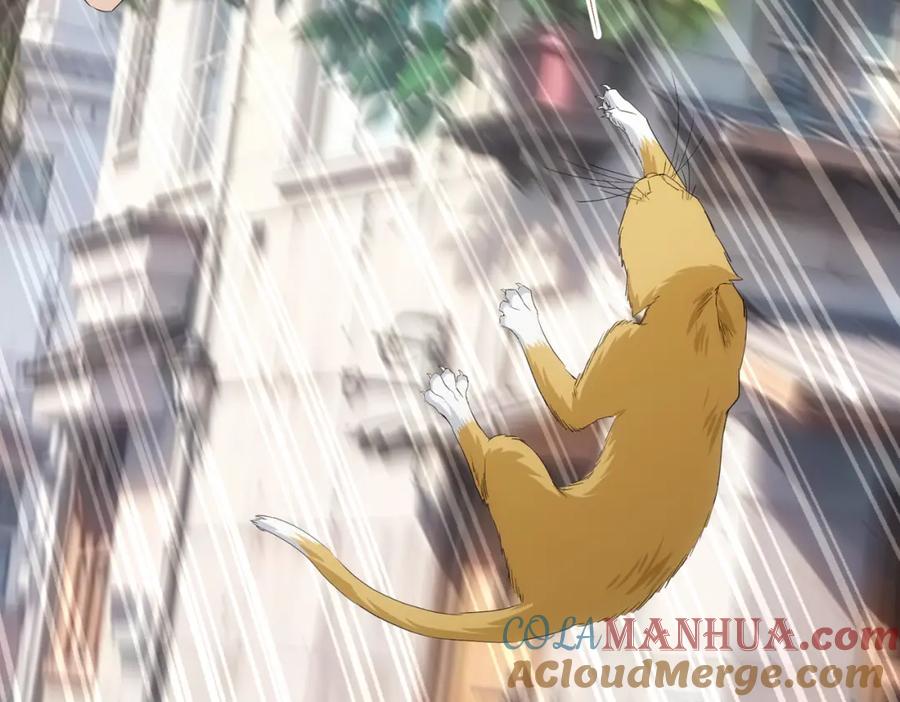 我能看到成功率 第328话 家长 第73页