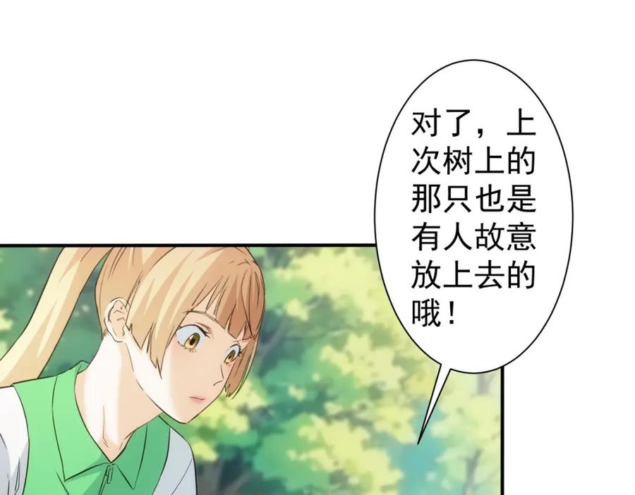 我能看到成功率 第330话 快意人生 第56页