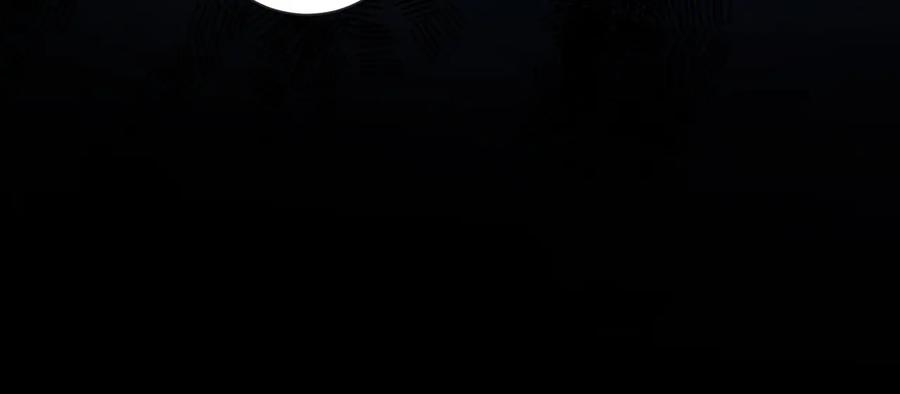 我能看到成功率 第81话 引蛇出洞 第127页