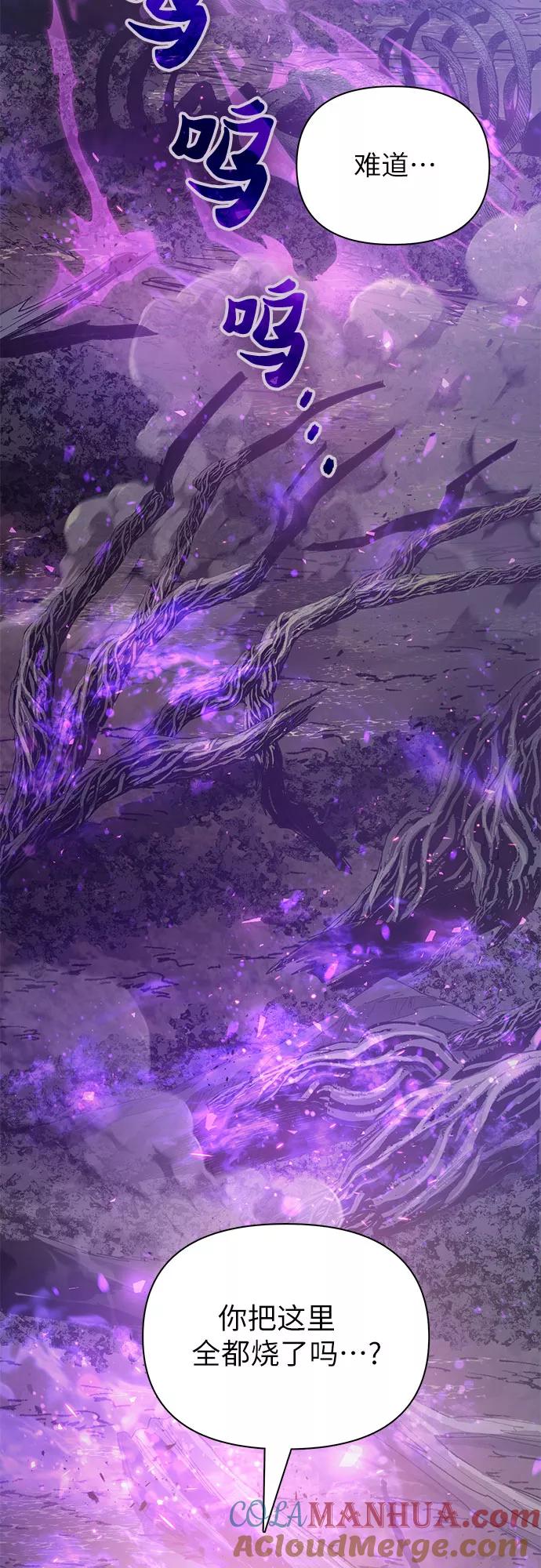 我培养的S级们 [第54话] 交流(1) 第13页