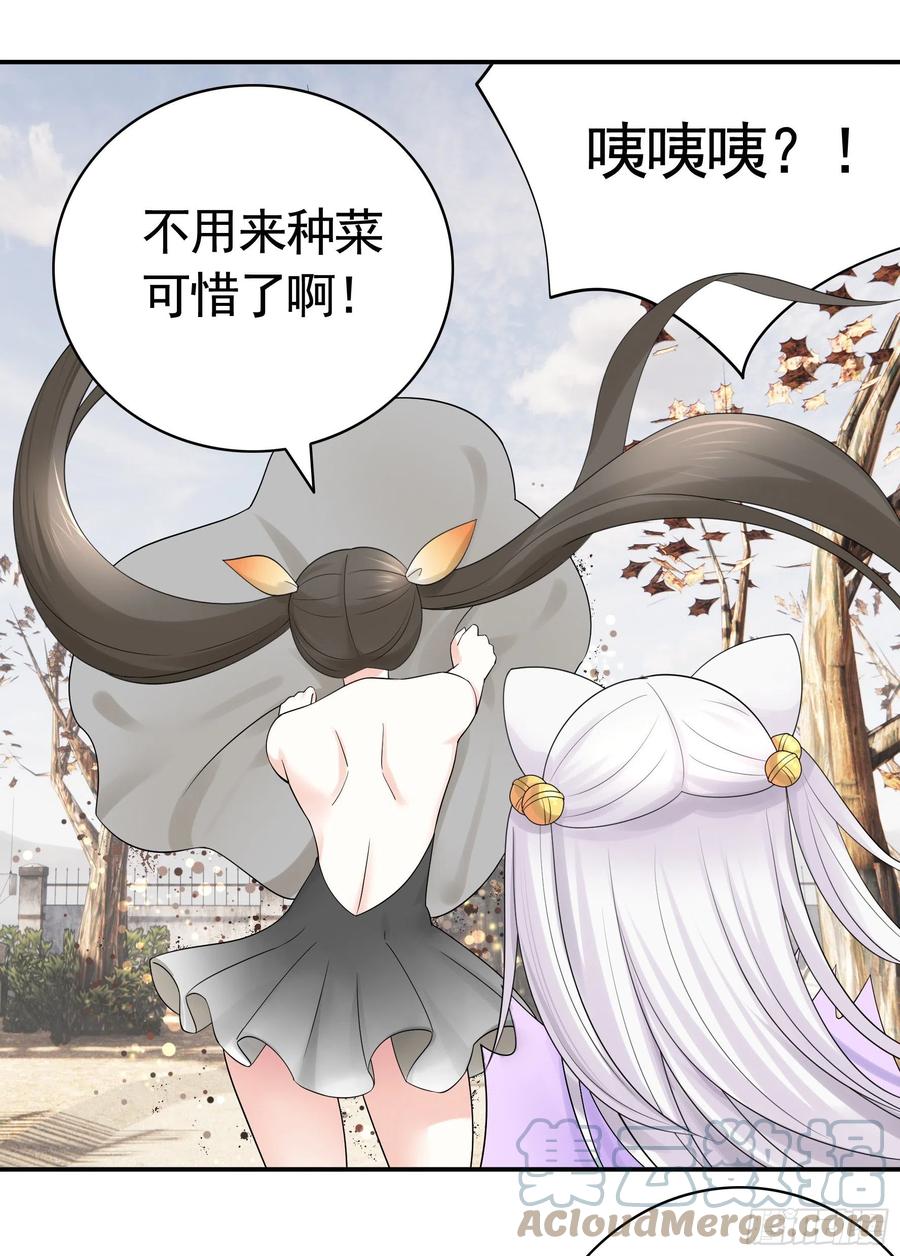 《我偏要浪》姑娘们来种田 第30页