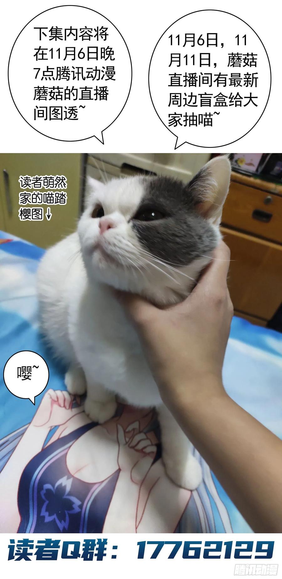《我偏要浪》终于等到今日 第51页