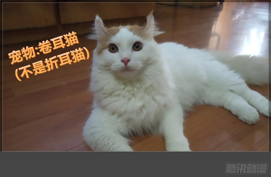 《我的世界：晨曦传记番外》摄影棚日常20 第71页