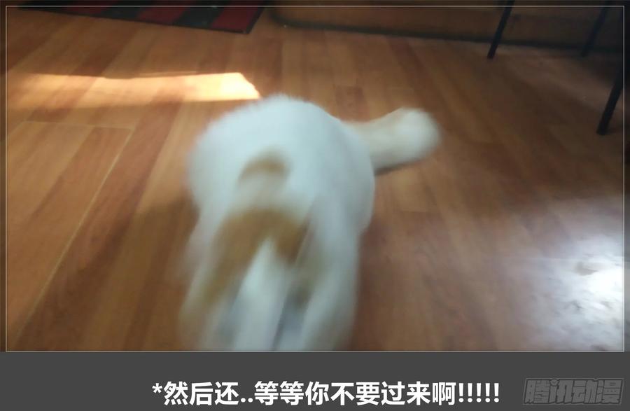 《我的世界：晨曦传记番外》摄影棚日常20 第75页