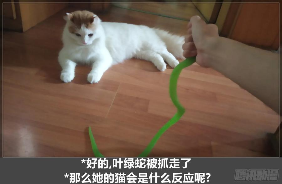《我的世界：晨曦传记番外》摄影棚日常20 第72页