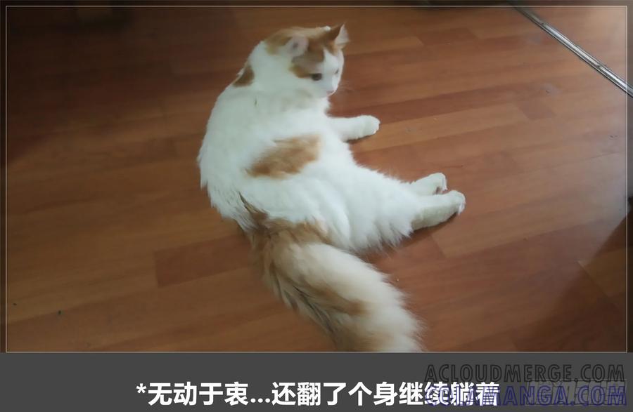 《我的世界：晨曦传记番外》摄影棚日常20 第73页