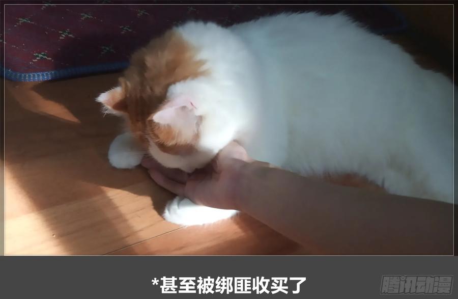 《我的世界：晨曦传记番外》摄影棚日常20 第74页