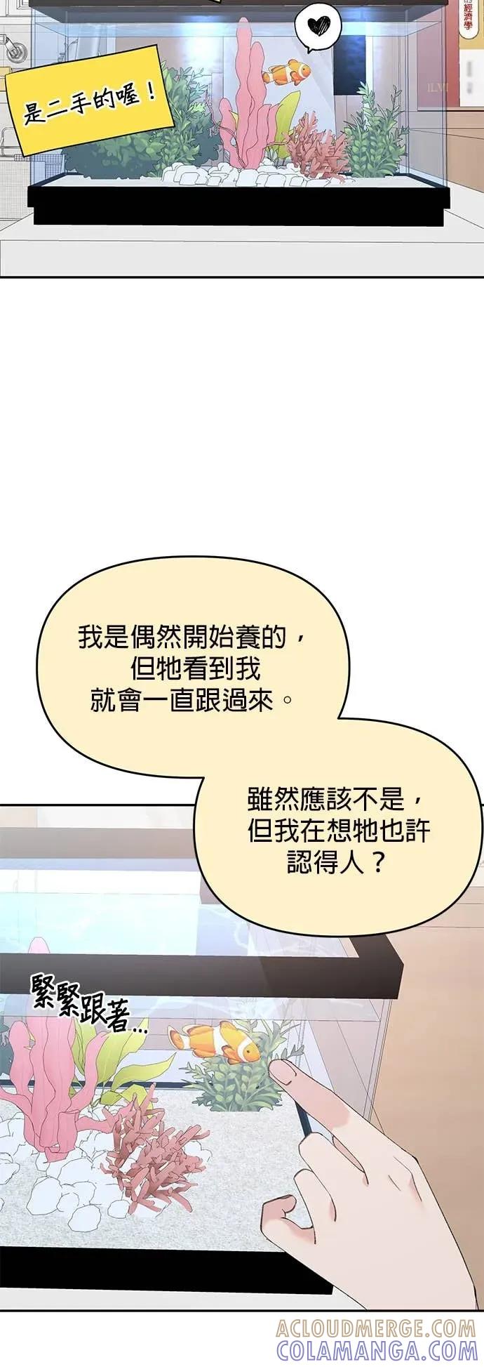 《我亲爱的人鱼先生》第25话 突然主动的人鱼 第10页