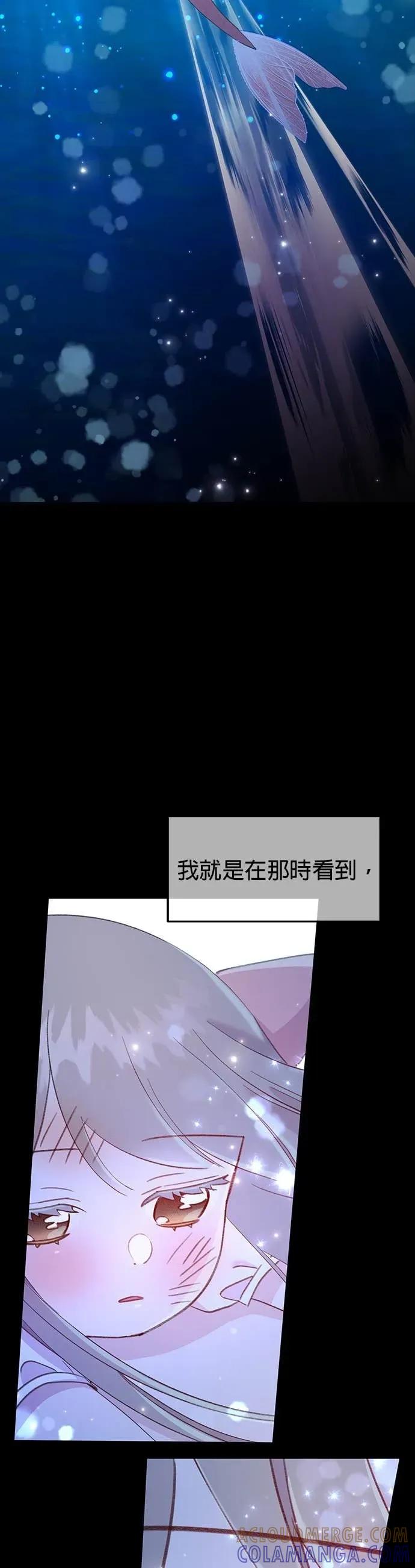 《我亲爱的人鱼先生》第26话 第一只人鱼 第49页