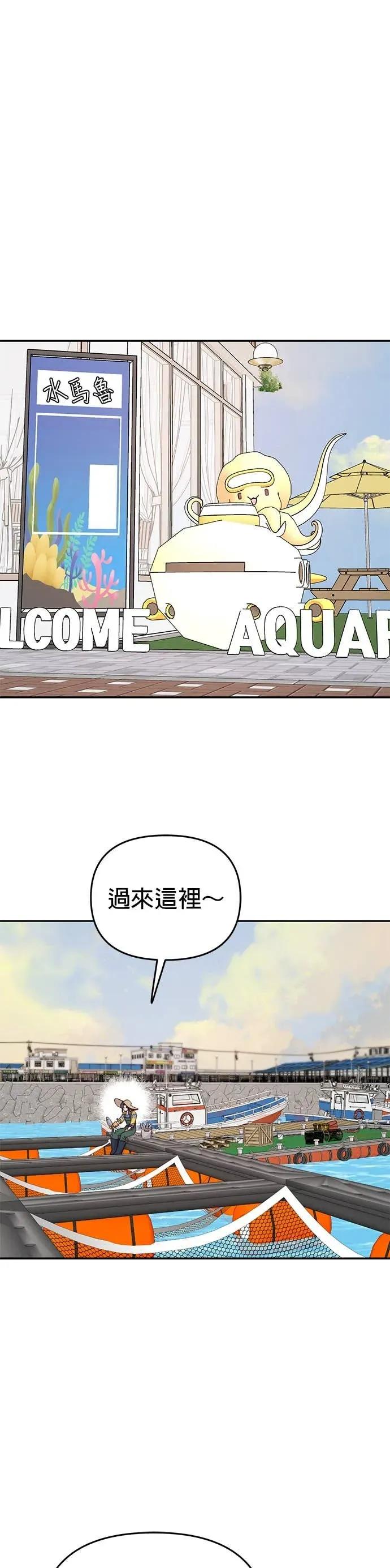 《我亲爱的人鱼先生》第33话 下定决心的人鱼 第35页