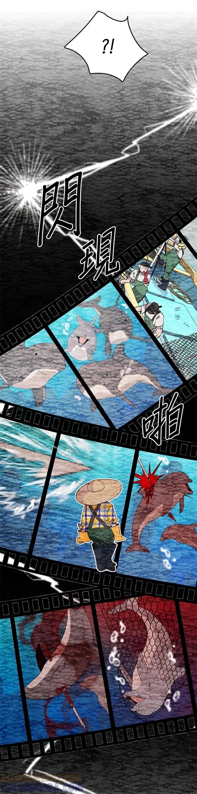 《我亲爱的人鱼先生》第33话 下定决心的人鱼 第37页