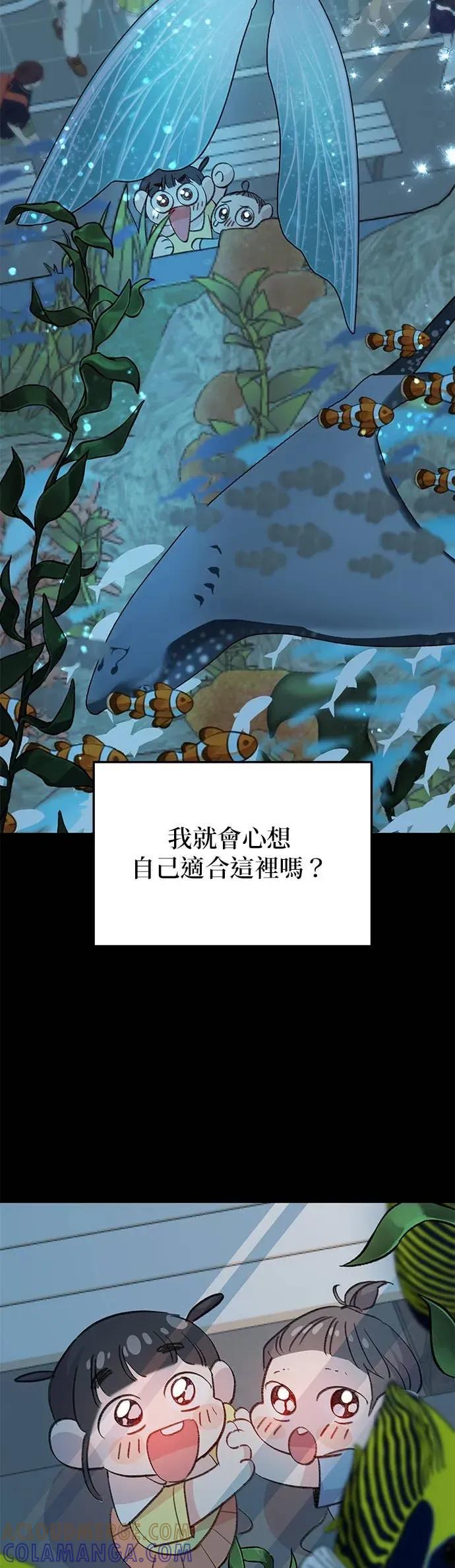 《我亲爱的人鱼先生》第4话 慌张的人鱼 第43页